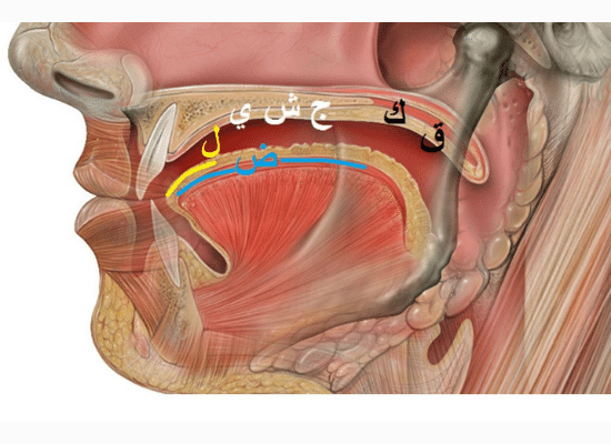 Makhaarij Al-Huroof: Al-Lisaan Pt 2