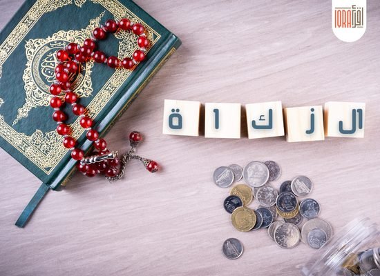 علي من تجب الزكاة