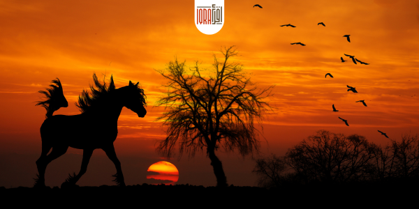 Talha ibn Ubaidullah, a brave and generous companion of the Prophet Muhammad (PBUH)